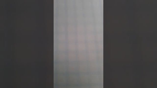 #рисунки #идея гусь смотреть онлайн