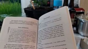 Рецепт каши Дубинушка от Надежды Семёновой с канала Галкин Сад ❤️☀️