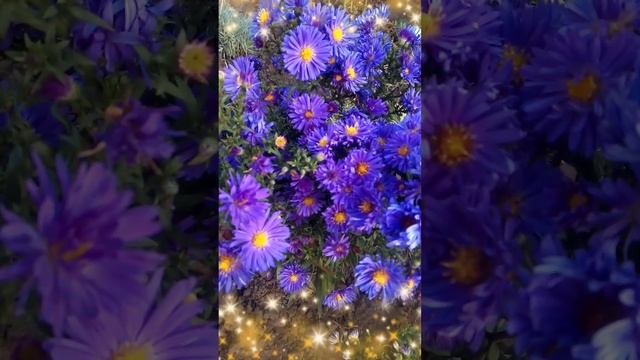 Октябринки