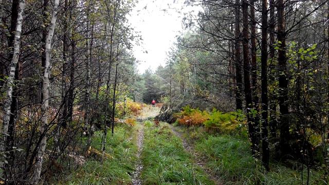 СУПЕР!!! ДЛЯ ВСЕХ! ГОТОВЫ ЛИ ВЫ К СМЕНЕ? 2021 Арктурианский СОВЕТ через Даниэля Скрантона смотреть онлайн