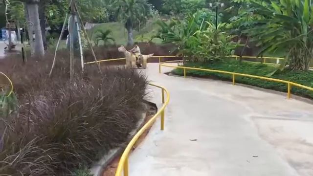 WhatsApp Video 2017 12 03 at 3 20 19 PM смотреть онлайн