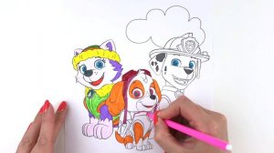 Раскраска Щенячий патруль Маршал, Скай, Эверест Coloring paw patrol Marshall, Skye, Everest