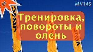 Тренировка безопасного вождения мотоциклом. Учимся проходить повороты. И снова олень. MV145