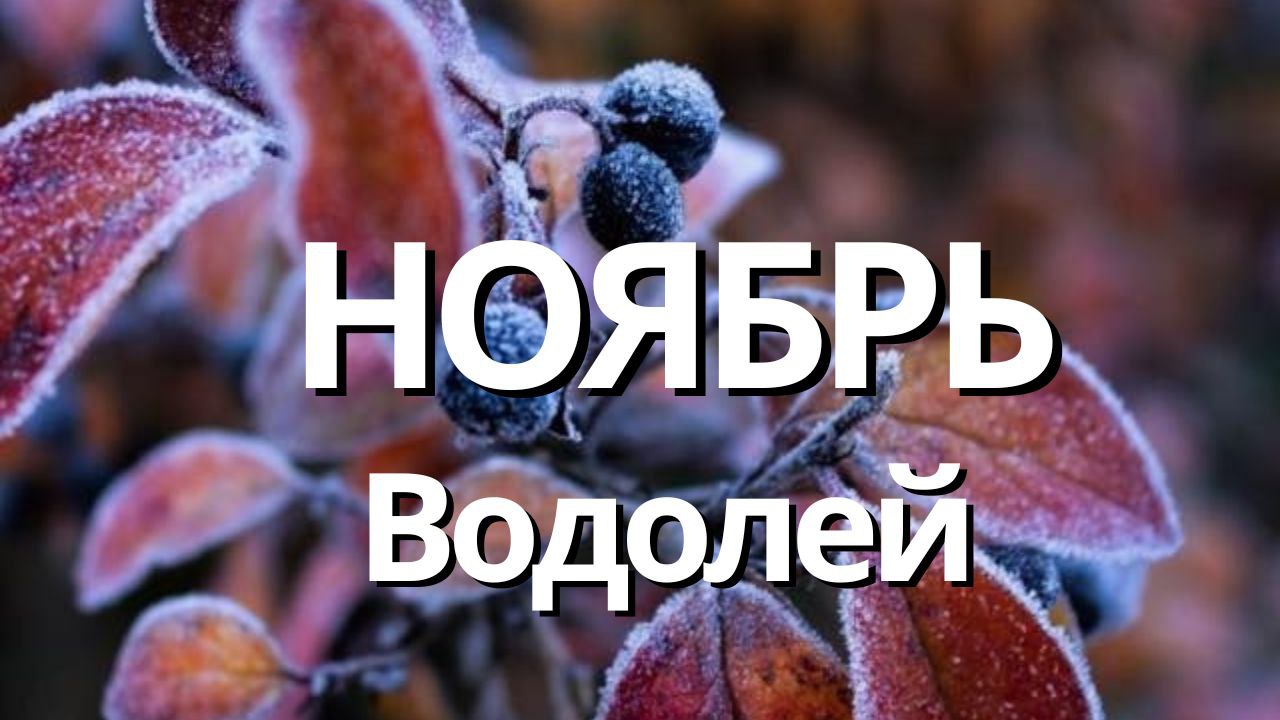 ВОДОЛЕЙ НОЯБРЬ 2023 Таро прогноз]