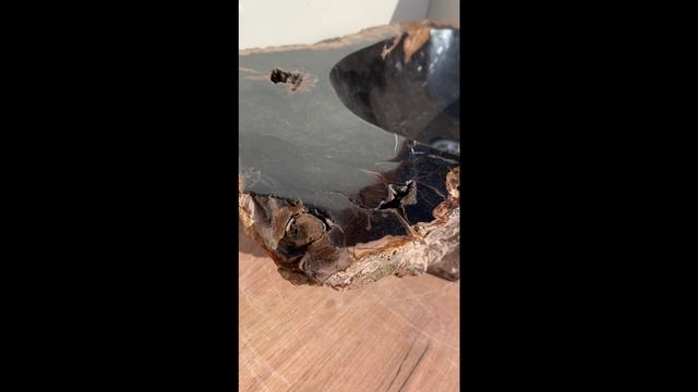 Раковина из окаменелого дерева 57x36 OKA2112.mp4