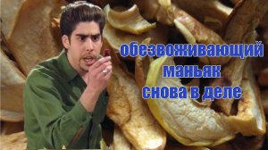 Как сушить яблоки в сушилке