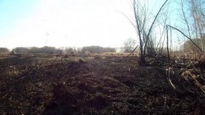 Рыбалка и отдых в Липецкой обл - часть 3