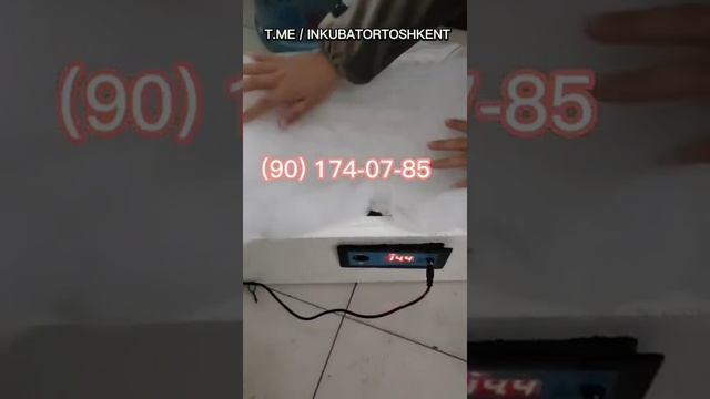 INKUBATOR YASASH. POLUAVTOMAT RUCHNOY. ZAPCHASTLAR. NASTROYKA INKUBATOR. BIZNES. INKUBATORLAR. смотреть онлайн