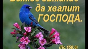 Песня  ПЛОДЫ ХРИСТУ