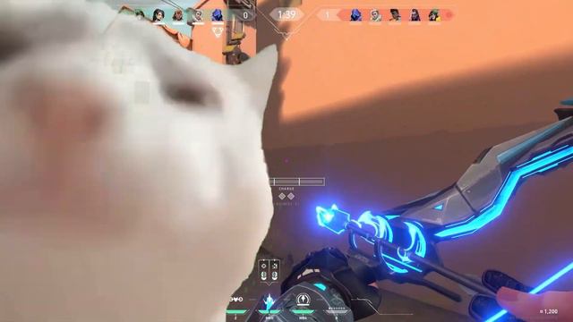 The Sova Song смотреть онлайн