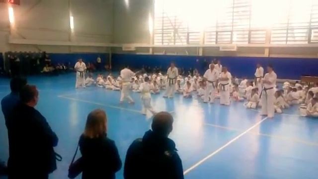 Аттестация Pinan Sono Yon Шинкиокушинкай каратэ Краснодар