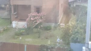 Ко дню учителя