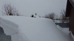 Теплица Сигма со сдвижными панелями