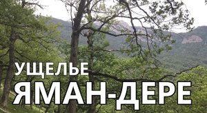 Ущелье Яман-Дере. Крым.
