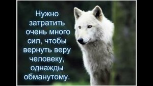 ВОЛК ВНУТРИ НАС