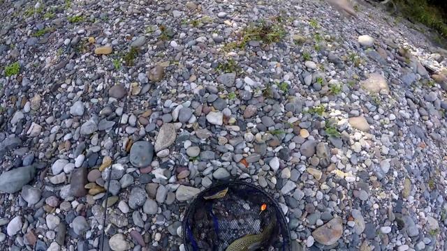ULTRALIGHT SPINNING TROTE FIUME SERIO - РЫБАЛКА СПИННИНГ ФОРЕЛЬ В ИТАЛЬЯНСКИХ ГОРАХ