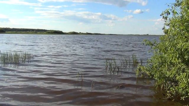 vatravel.ru  Костромское водохранилище у п.Прибрежный (Костромская обл) смотреть онлайн