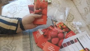 МАЛИННИК.Ру. Стоит ли покупать семена? Обзор и честный отзыв. Свои семена и всхожесть 100%.