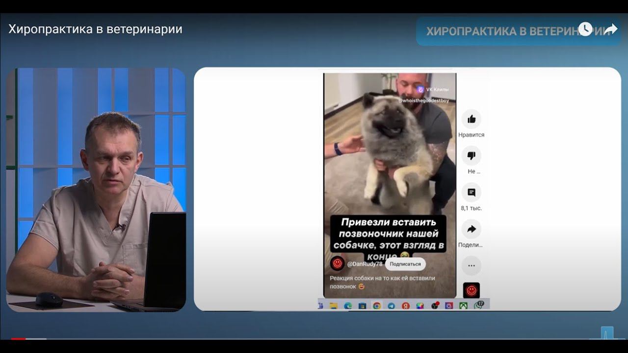 Хиропрактика в ветеринарии