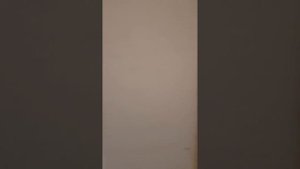 1к кв-ра  Дивноморское ул.Мускатная