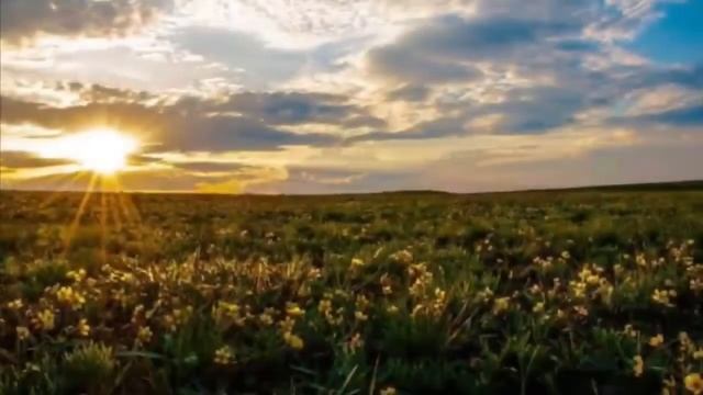 5 сынып. Өзін-өзі тану сабағы "Табиғат - шабыттың қайнар көзі" смотреть онлайн