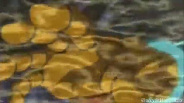 ~Yu-Gi-Oh! 5D´s Duel Transer~ Invincible Exodia Online [Bully@WiiPlaza] смотреть онлайн