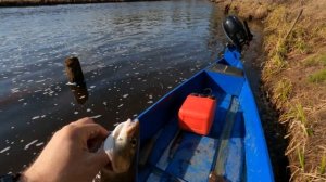 Путешествие по таежной реке