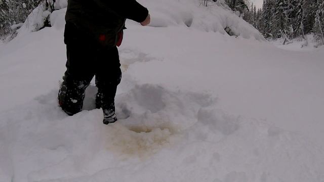 РЫБАЛКА В ХМАО. 3 ФЕВРАЛЯ 2020. ГЛУХОЗИМЬЕ ОТМЕНЯЕТСЯ. смотреть онлайн