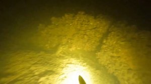 Подводная охота на Волге осень перед ледоставом