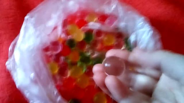 Как выращивать орбизы смотреть онлайн