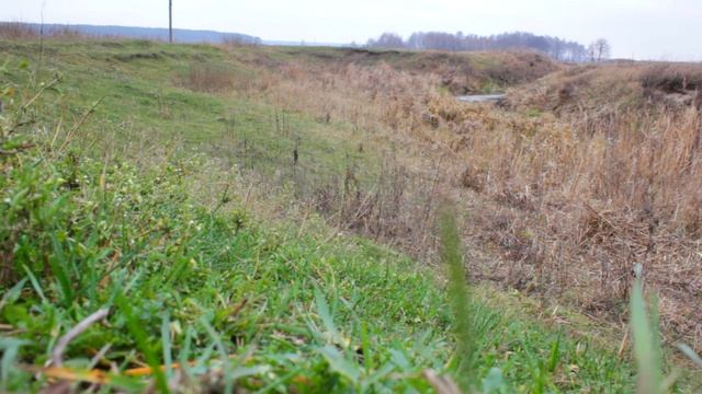 Овен общее описание характеристика знака зодиака смотреть онлайн