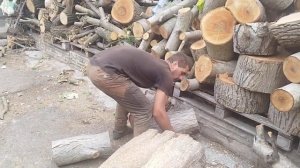 Аккумуляторная пила Procraft в деле