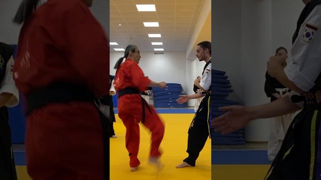 Snapping Inside Full-moon Kick Combo: Hwa Rang Do® Kicking w/Grandmaster Taejoon Lee