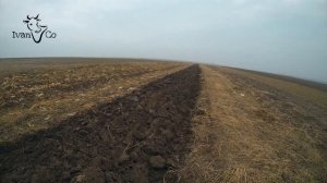 Пахота в поле по кукурузе. Справится ли мой трактор и плуг?