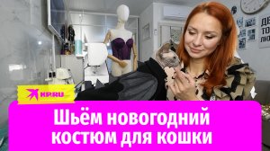 Дизайнер Евгения Андриевская показала, как сшить новогодний костюм для кошки