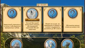 Мир загадок. Животные