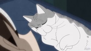 Мохнатая гнида. Осторожно, присутствует мат!