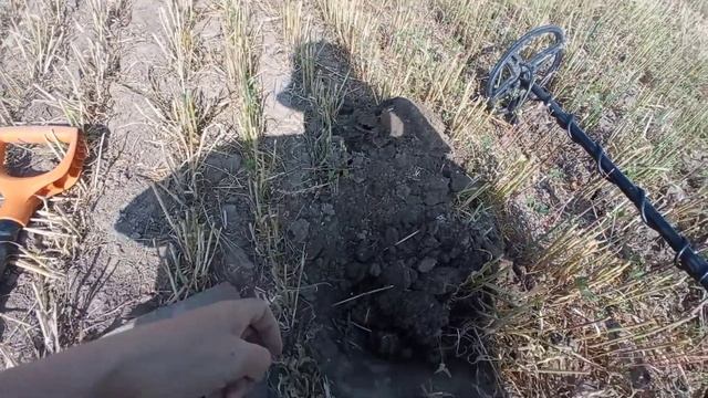 Продолжаю поиски металлоискателем