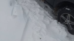 Mercedes ml320 w163 Развалился натяжной ролик поликлинового ремня. Как Я менял.