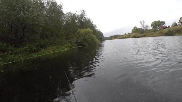 ОСЕННИЙ СПЛАВ. БАХНУЛ ТАК ЧТО ЧУТЬ ИЗ ЛОДКИ НЕ ВЫПАЛ #24 #рыбалка #рыба #жерех смотреть онлайн