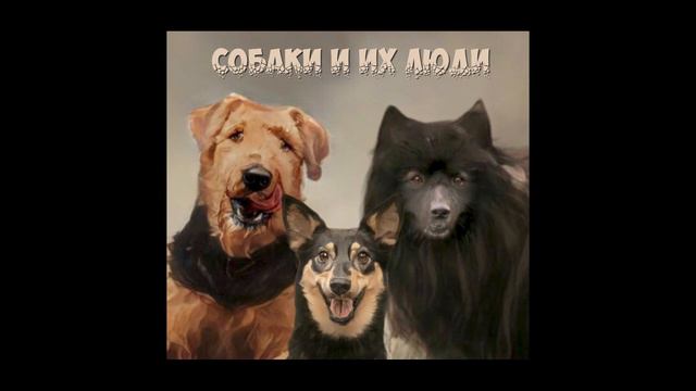 "Собаки и их люди". Выпуск 9: Проще ли с маленькой собакой #собакавсемье #кинология #породысобак