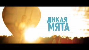 Дикая Мята 2016 за 56 секунд