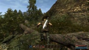 Щит рыцаря Gothic 3