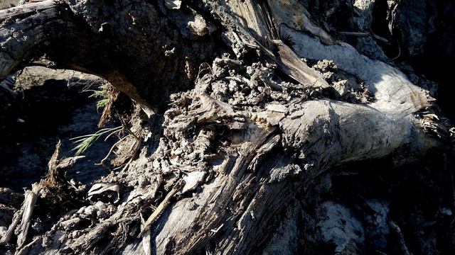 Bright Images from Eternity Part 4 / Ambient Music, Experimental Music смотреть онлайн