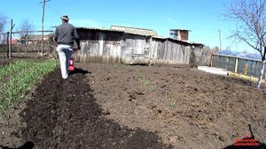 Культивирую первый раз мотоблоком