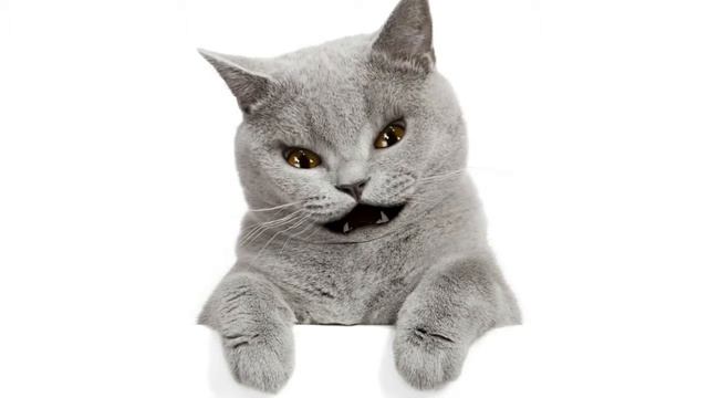 ?Анекдот про бабушку смотреть онлайн