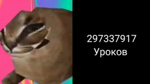 Сколько у тебя уроков ?