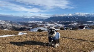 Жизнь в Румынии. Декабрь и праздники! Бухарест