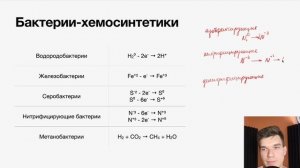 2.54. Бактерии-хемосинтетики | Цитология к ЕГЭ | Георгий Мишуровский