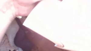 Пульки Квинтор и Gamo Expander 4.5 mm | ИЖ 60.